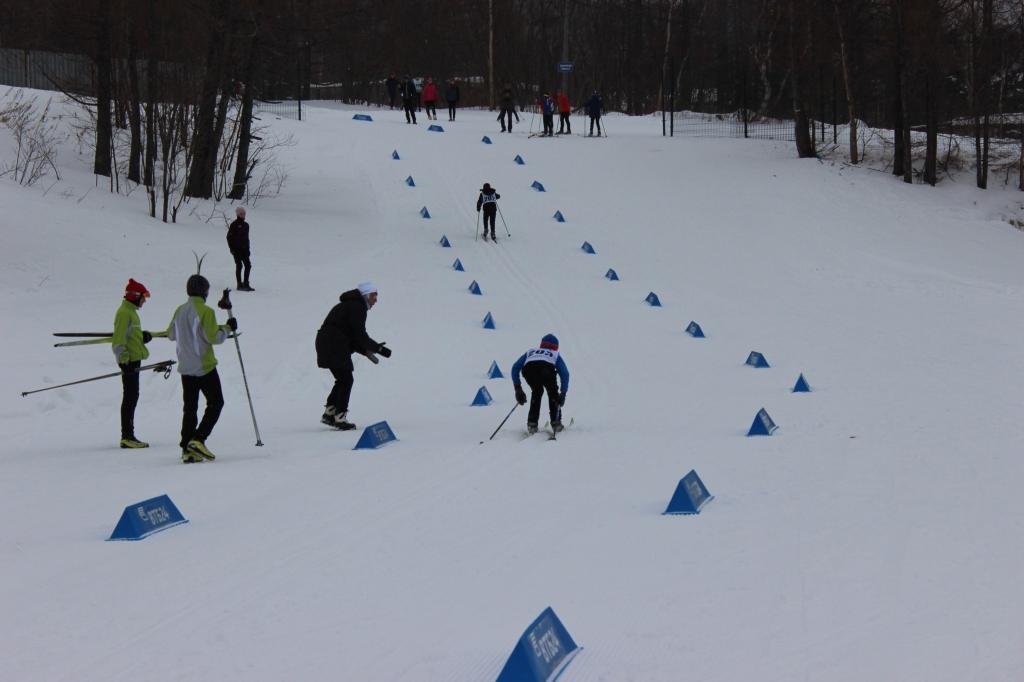 Областные соревнования по лыжным гонкам на призы Анны Ермаковой