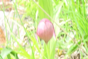 Фото 44