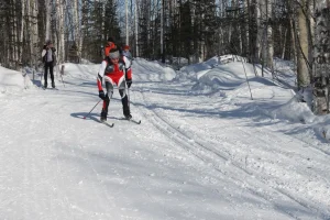 Лыжню!