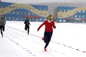Зимний чемпионат и первенство области 2015 года по лёгкой атлетике