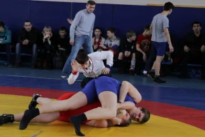 Чемпионат и первенство области по вольной борьбе