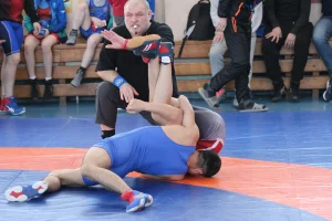 Чемпионат и первенство области (до 16 лет) по вольной борьбе
