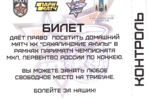 Билет на домашний матч "Сахалинских акул"