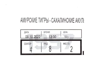 "Амурские тигры" - "Сахалинские акулы" (09.10.2022)