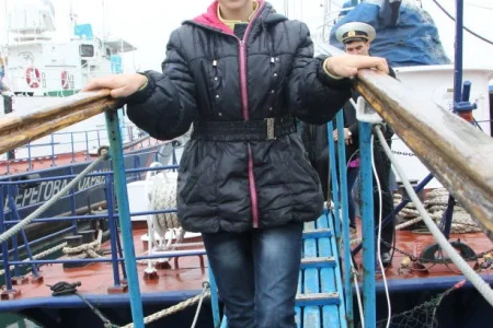 Тигрята на сторожевом корабле