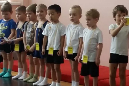 В ДС «Кристалл» состязались гимнасты не старше семи лет