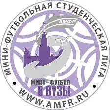 Команды СахГУ остались без медалей на дальневосточном этапе проекта «Мини-футбол в вузы»