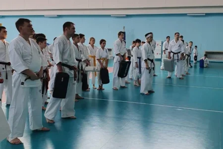 В спортивном комплексе «СШ по волейболу» прошли УТС островных каратистов