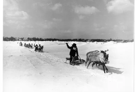 Страницы истории: хмурое сахалинское небо раззадорило борцов