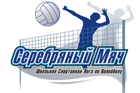 В Углегорске взлетел «Серебряный мяч»