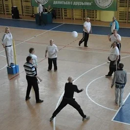Фестиваль мини-волейбола