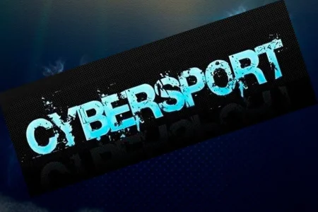 Юные борцы приняли участие в турнире по киберспорту