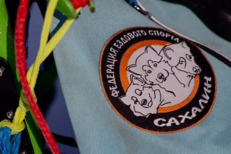 Нарта и четыре собаки