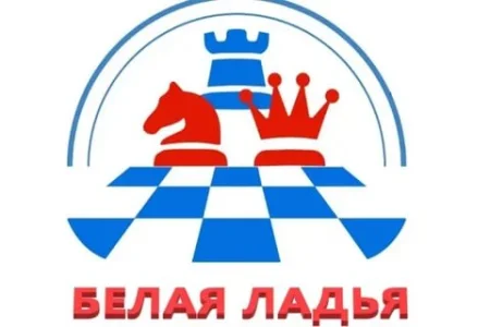 Команда лицея № 2 заняла 57-е место в финале «Белой ладьи»