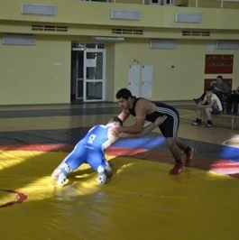 НА ПРИЗЫ МЭРА
