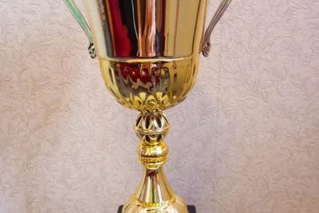 Сахалинцы набоксировали пять медалей