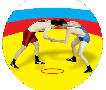 В Шахтерске прошел открытый чемпионат и первенство по вольной борьбе 