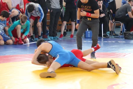 Свыше 150 борцов приняли участие в чемпионате и первенстве области
