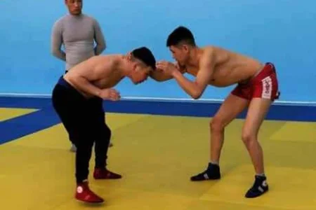 Камчы согуш, тебек и шатра