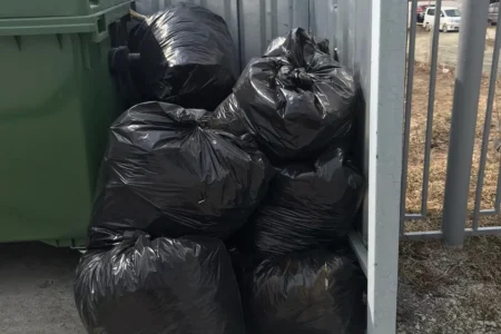 Сотрудники «СШ по волейболу» приняли участие в «субботнике»