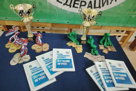 Импульс победы миниволей