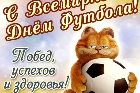 Поздравляем с Всемирным днем футбола!