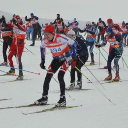 XIX Международный Сахалинский лыжный марафон памяти Игоря Фархутдинова собрал более 300 участников