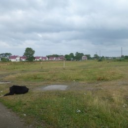Стадион села Сокол.