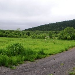 Футбольное поле села Краснополье. 