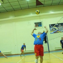 Открытый турнир по волейболу, посвященный Дню Конституции РФ (14-15.2013).
