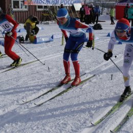 Чемпионат и первенство области по лыжным гонкам