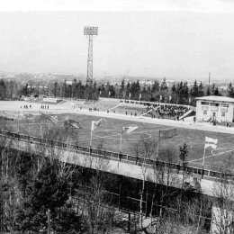 Стадион в городском парке