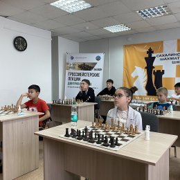 Онлайн-занятия юных сахалинских шахматистов с международным гроссмейстером Дмитрием Кряквиным (фотографии Константина Сек)