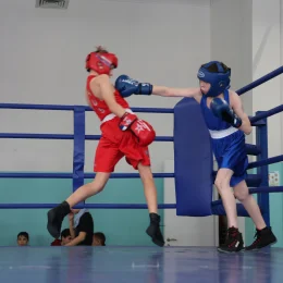 Первенство области по боксу