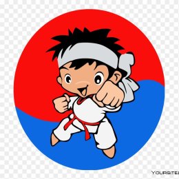 Ан Сухаги занял четвертое место на «World Taekwondo Hanmadan-2010»