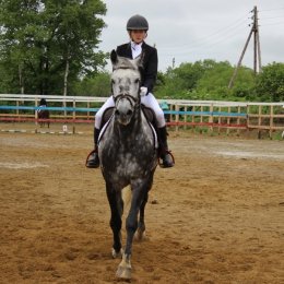 В Южно-Сахалинске состоятся ежегодные соревнования по конному спорту