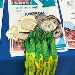 Сахалинские волейболисты примут участие в турнире в Арсеньеве