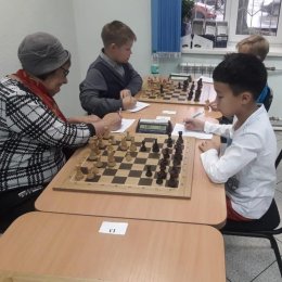 В чемпионате области по шахматам воцарилось троевластие