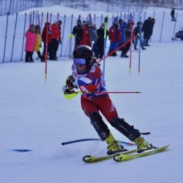 Сахалинские горнолыжники завоевали четыре медали этапа Кубка России