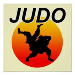 Четверо островных дзюдоистов стали призерами открытого первенства Улан-Удэ
