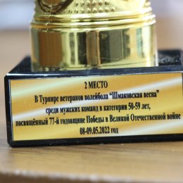 Ветераны сахалинского волейбола заняли второе место на крупнейшем дальневосточном турнире