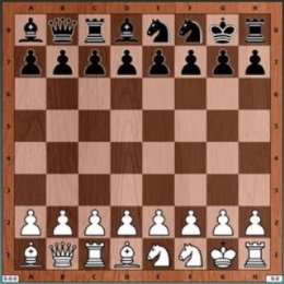 Владислав Черняев выиграл онлайн-турнир по «Шахматам Фишера»