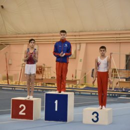 Сахалинский гимнаст победил на коне