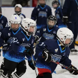 Спортшкола «Кристалл» ждет юных хоккеистов