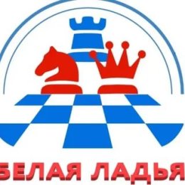 Команда лицея № 2 заняла 57-е место в финале «Белой ладьи»