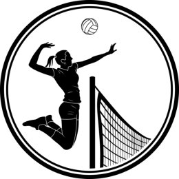 В Приморье будут развивать новую разновидность волейбола 