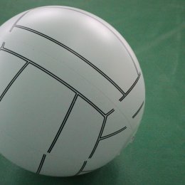 Студенты СахГУ определили сильнейших в японском мини-волейболе