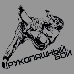 Сахалинцев приглашают на всероссийский турнир по рукопашному бою