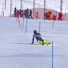 Сахалинские горнолыжники пробились в десятку сильнейших международных соревнований