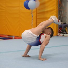 Они – на коне: гимнасты разыграли награды областного первенства